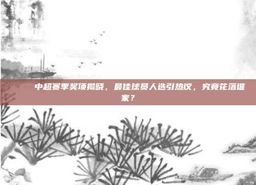 🎉 中超赛季奖项揭晓，最佳球员人选引热议，究竟花落谁家？  第1张