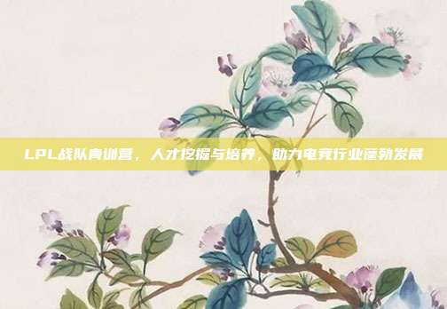 LPL战队青训营，人才挖掘与培养，助力电竞行业蓬勃发展  第1张