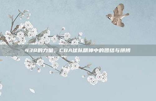 438的力量，CBA球队精神中的团结与拼搏  第1张