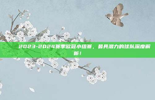 🌟 2023-2024赛季欧冠小组赛，最具潜力的球队深度解析！  第1张