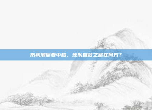 伤病潮席卷中超，球队自救之路在何方？  第1张