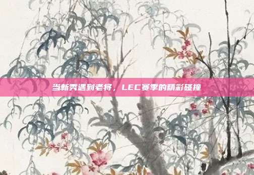 当新秀遇到老将，LEC赛季的精彩碰撞  第1张