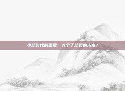 小球时代的困境，大个子球员的未来？  第1张