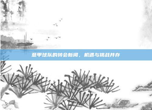 意甲球队的转会新闻，机遇与挑战并存  第1张