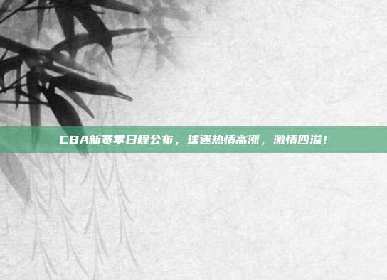 CBA新赛季日程公布，球迷热情高涨，激情四溢！  第1张