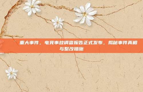 🚨 重大事件，电竞事故调查报告正式发布，揭秘事件真相与整改措施  第1张