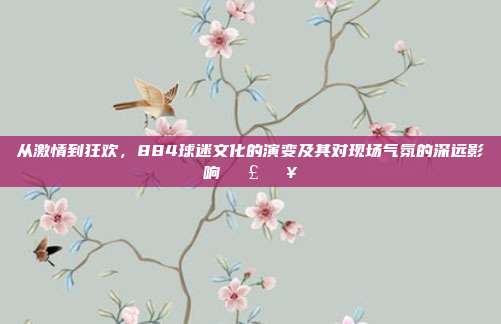 从激情到狂欢，884球迷文化的演变及其对现场气氛的深远影响📣👥  第1张